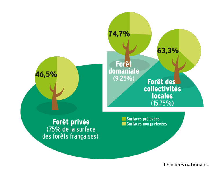 foret privée